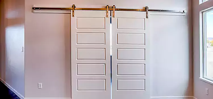 Glass Barn Door with Installation Hardware Kit Lake Worth