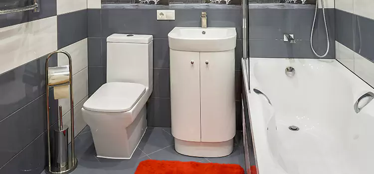 Hansgrohe Shaving Mirror Lake Worth